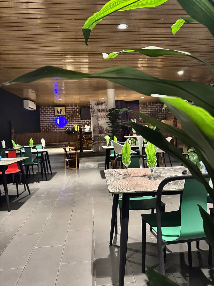 La salle du restaurant vue entre les feuilles d’une plante : tables dressées, chaises vertes et rouges, plafond en lambris.